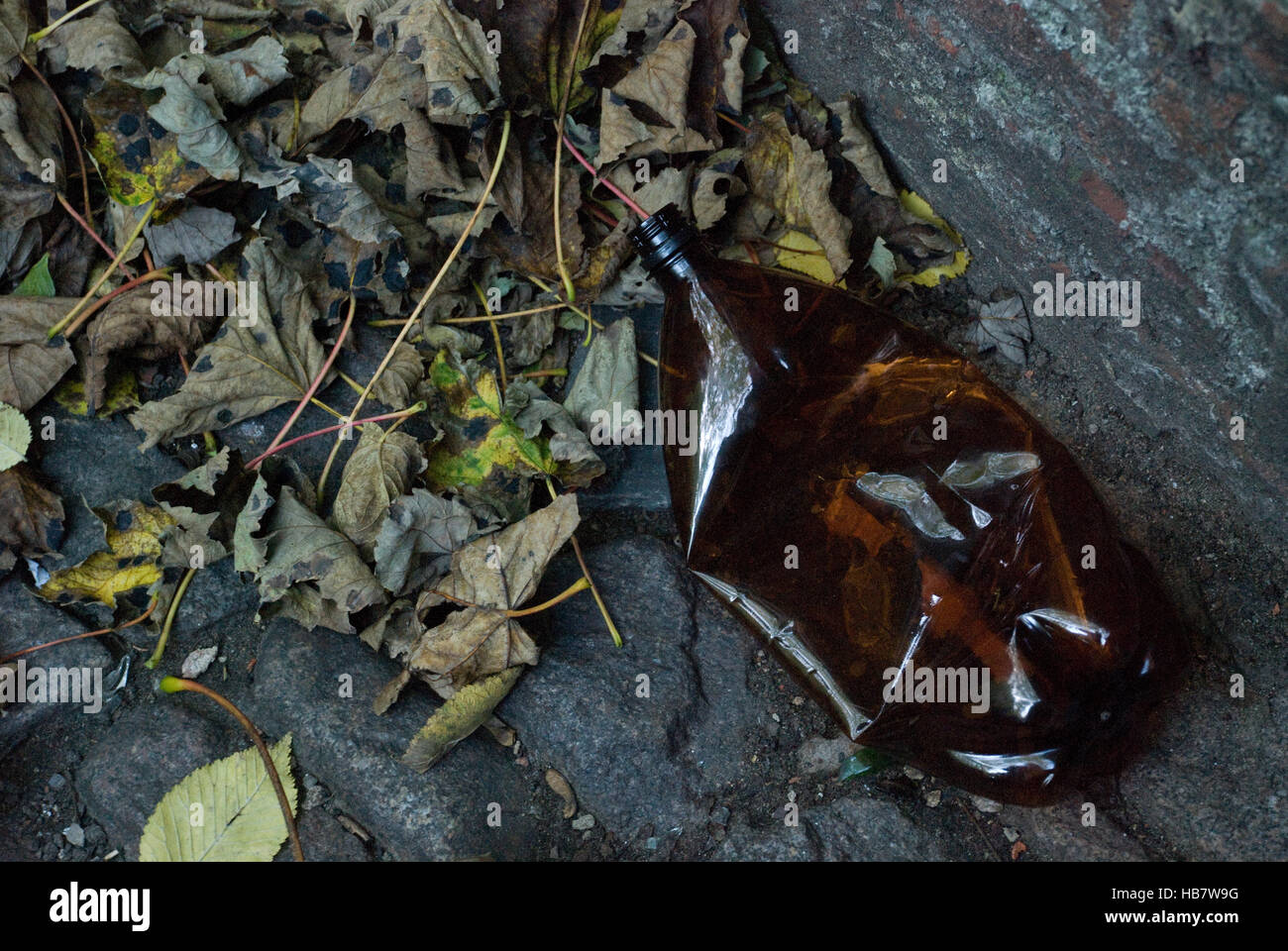 Bouteille en plastique jetée qui jonque les voies publiques et entourée de feuilles tombées Banque D'Images