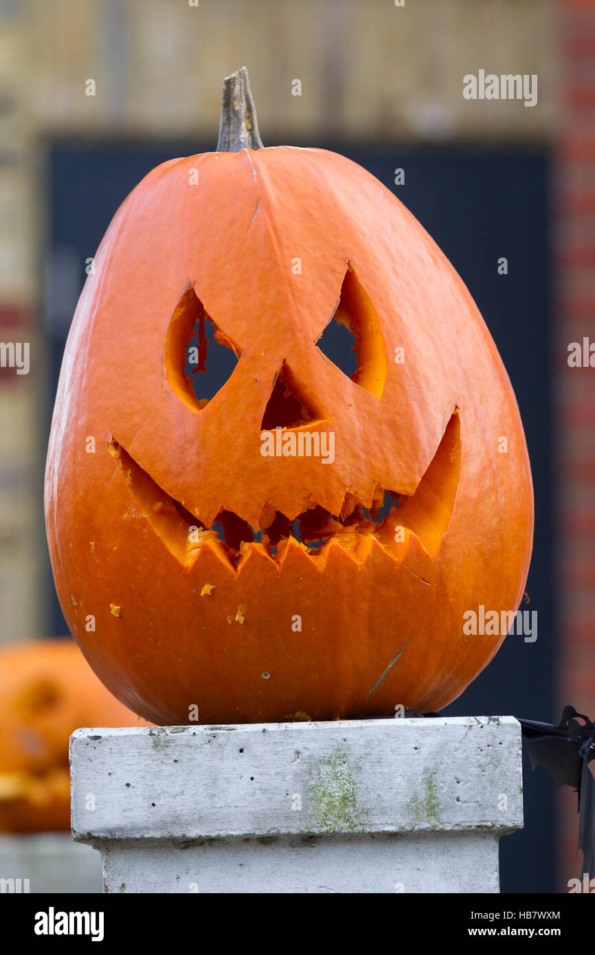 Citrouille Halloween Banque D'Images