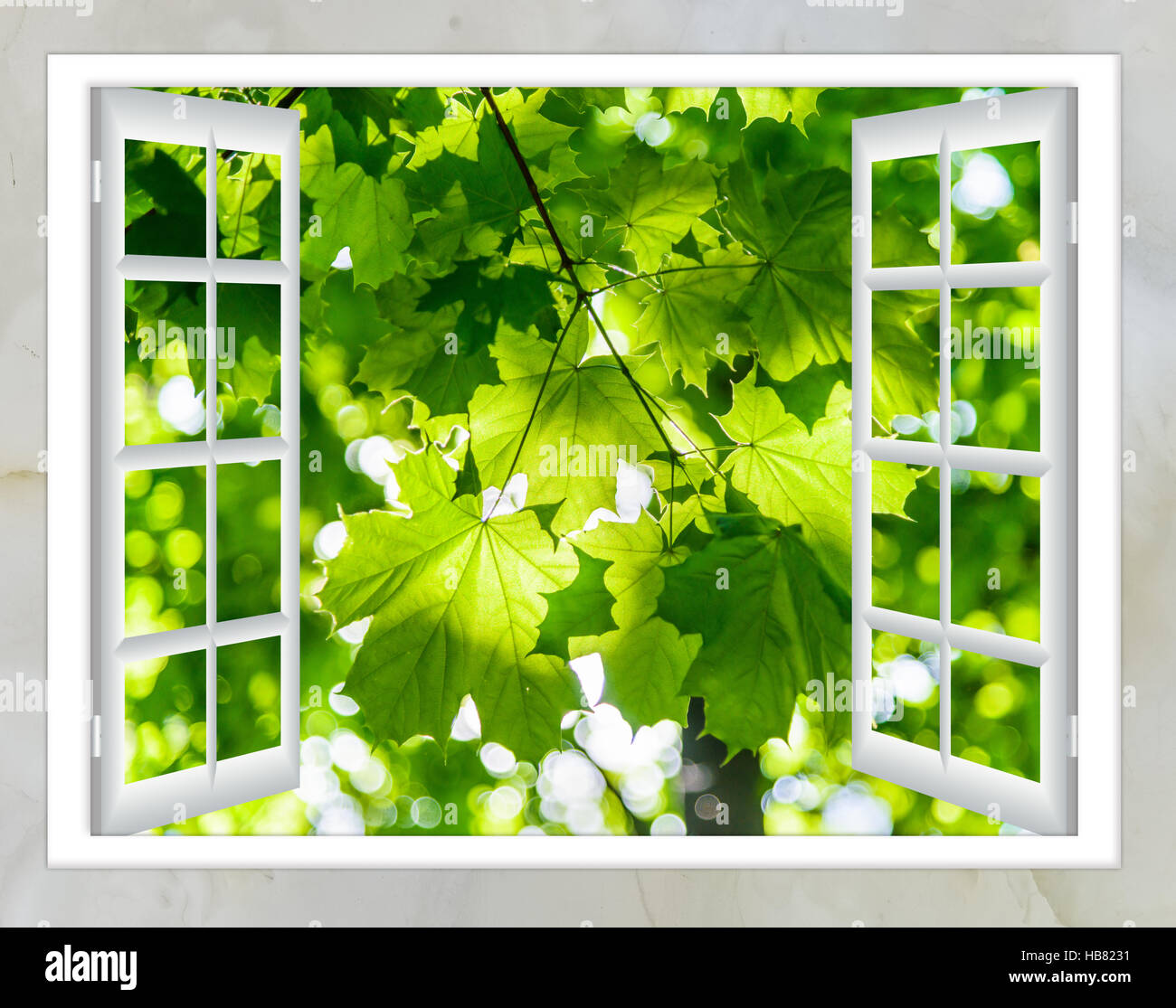 Nature Paysage avec vue à travers la vitre Banque D'Images