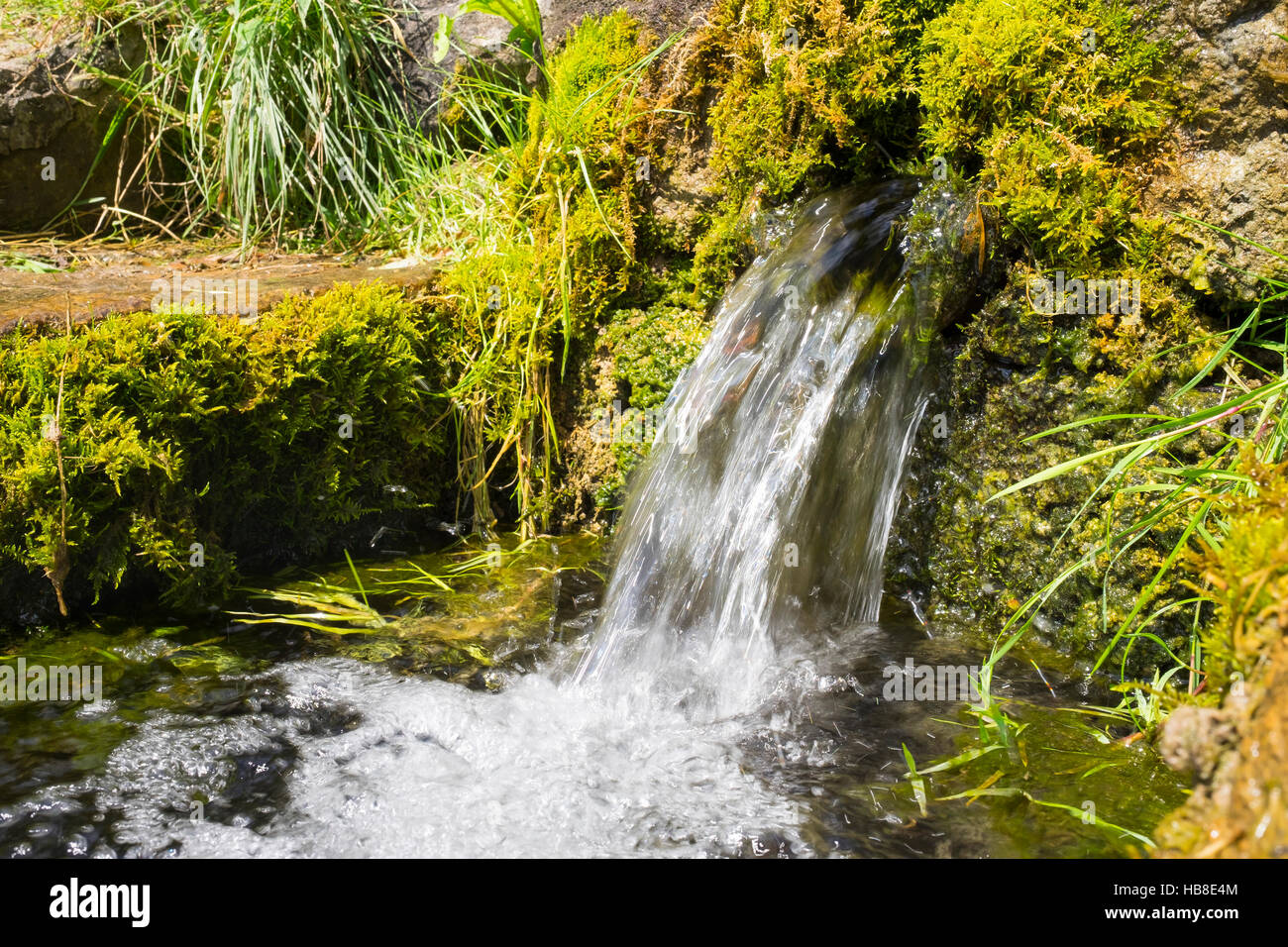 La source d'Altmühl, Herrmannsacker, Middle Franconia, Franconia, Bavaria, Germany Banque D'Images