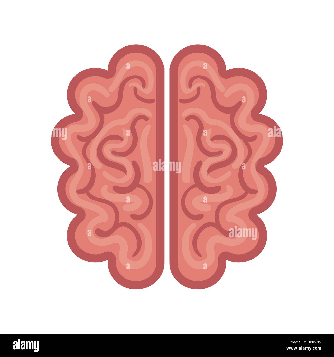 Organe du cerveau humain isolé vecteur icône illustration design Illustration de Vecteur