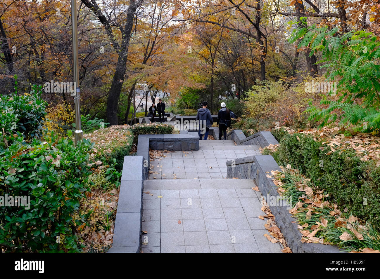 Chemin d'accès jusqu'à la montagne de Namsan N Séoul tour à Séoul, Corée du Sud Banque D'Images