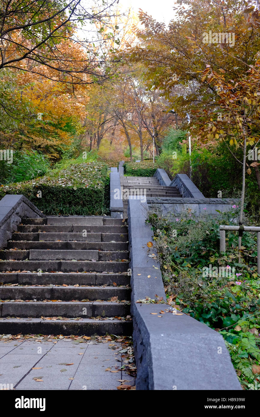 Étapes menant à la montagne de Namsan N Séoul tour à Séoul, Corée du Sud Banque D'Images