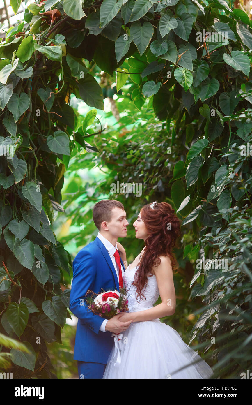 Mariage. Heureux mariés ensemble dans le jardin. Concept de mariage Banque D'Images Mariage. Heureux mariés ensemble dans le jardin. Concept de mariage Banque D'Images