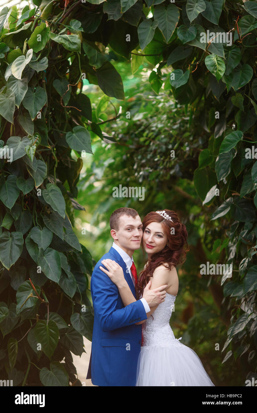 Mariage. Heureux mariés ensemble dans le jardin. Concept de mariage Banque D'Images Mariage. Heureux mariés ensemble dans le jardin. Concept de mariage Banque D'Images
