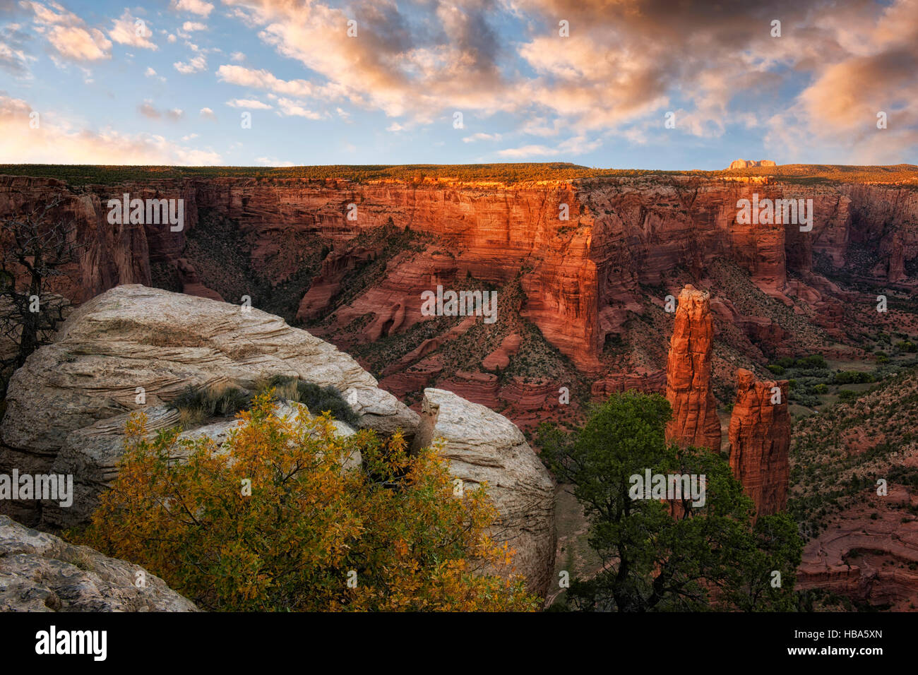 La lueur de l'automne coucher de soleil sur l'Arizona's Canyon de Chelly National Monument avec la spire de grès de Spider Rock. Banque D'Images