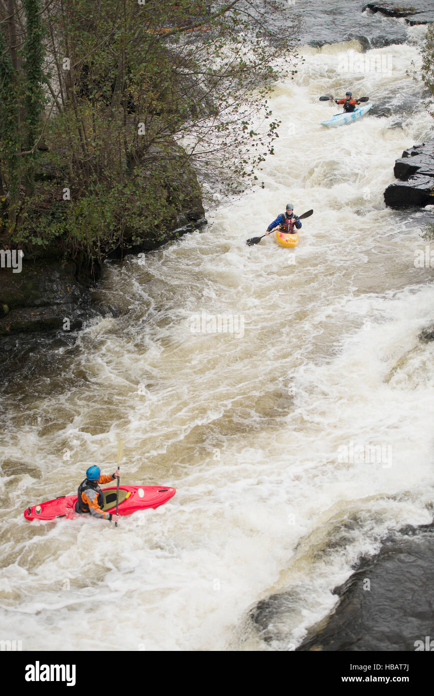 Les kayakistes de canotage rivière Dee rapids blancs de l'eau, Llangollen, Nord du Pays de Galles Banque D'Images
