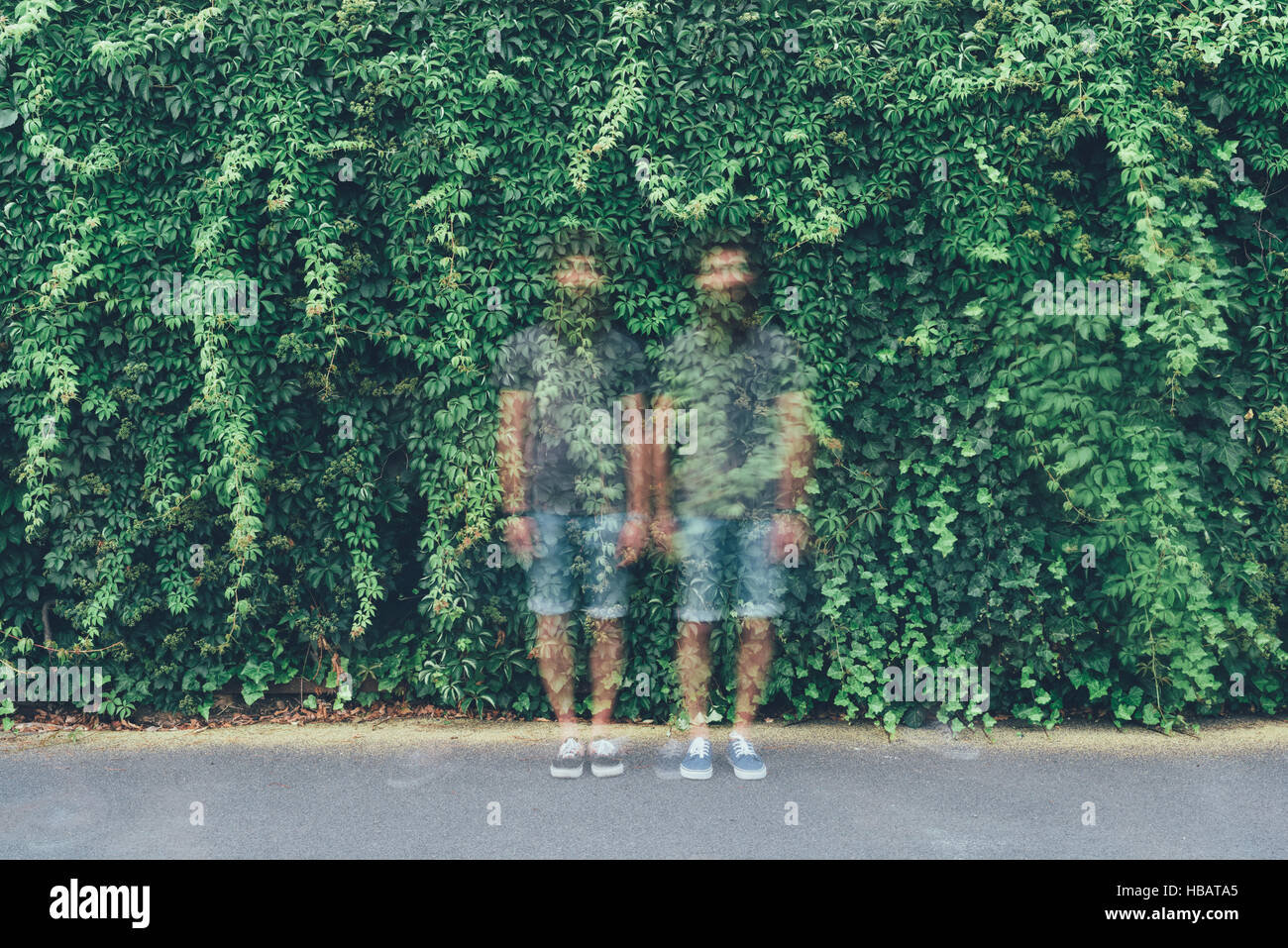 Portrait de l'exposition Double transparent des mâles adultes et des jumeaux identiques feuillage vert Banque D'Images