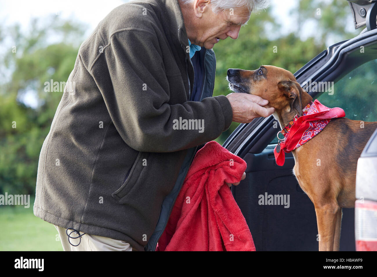 L'homme chien caressant Banque D'Images