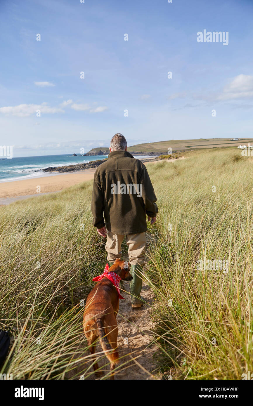 Homme marchant le chien sur le sable des dunes, Constantine Bay, Cornwall, UK Banque D'Images