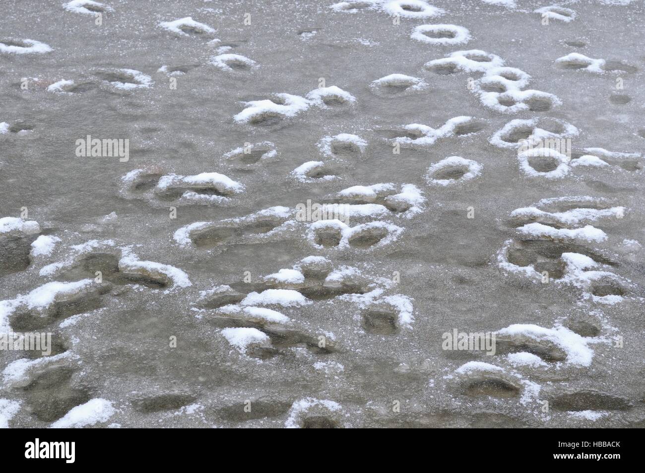 Dans l'eau gelé Banque D'Images