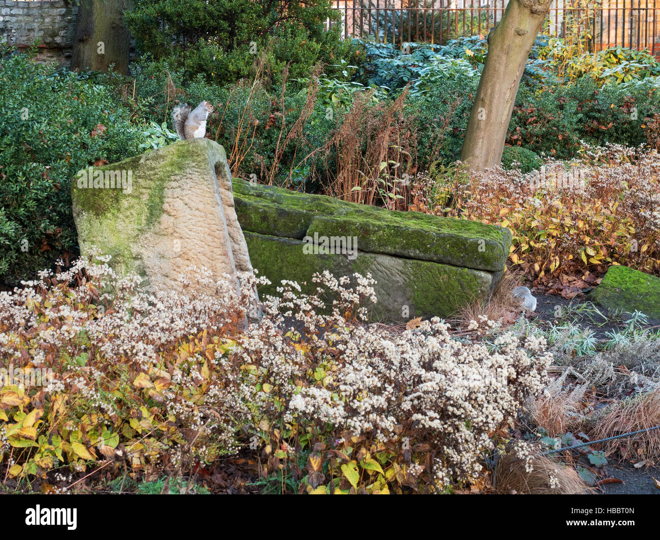 Au sommet d'Écureuil tombes anciennes au Musée Jardins à York Yorkshire Angleterre Banque D'Images