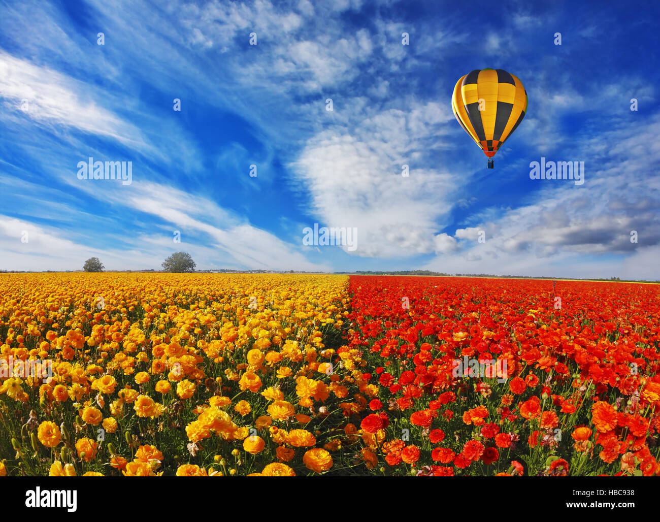 Grand ballon en vol au dessus du domaine de la floraison Banque D'Images