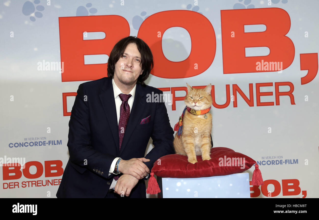 James Bowen And Bob The Cat Banque D Image Et Photos Alamy James Bowen And Bob The Cat Banque D Image Et Photos Alamy