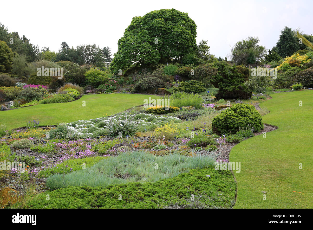 Edimbourg, Royal Botanic Garden, jardin rocheux Banque D'Images
