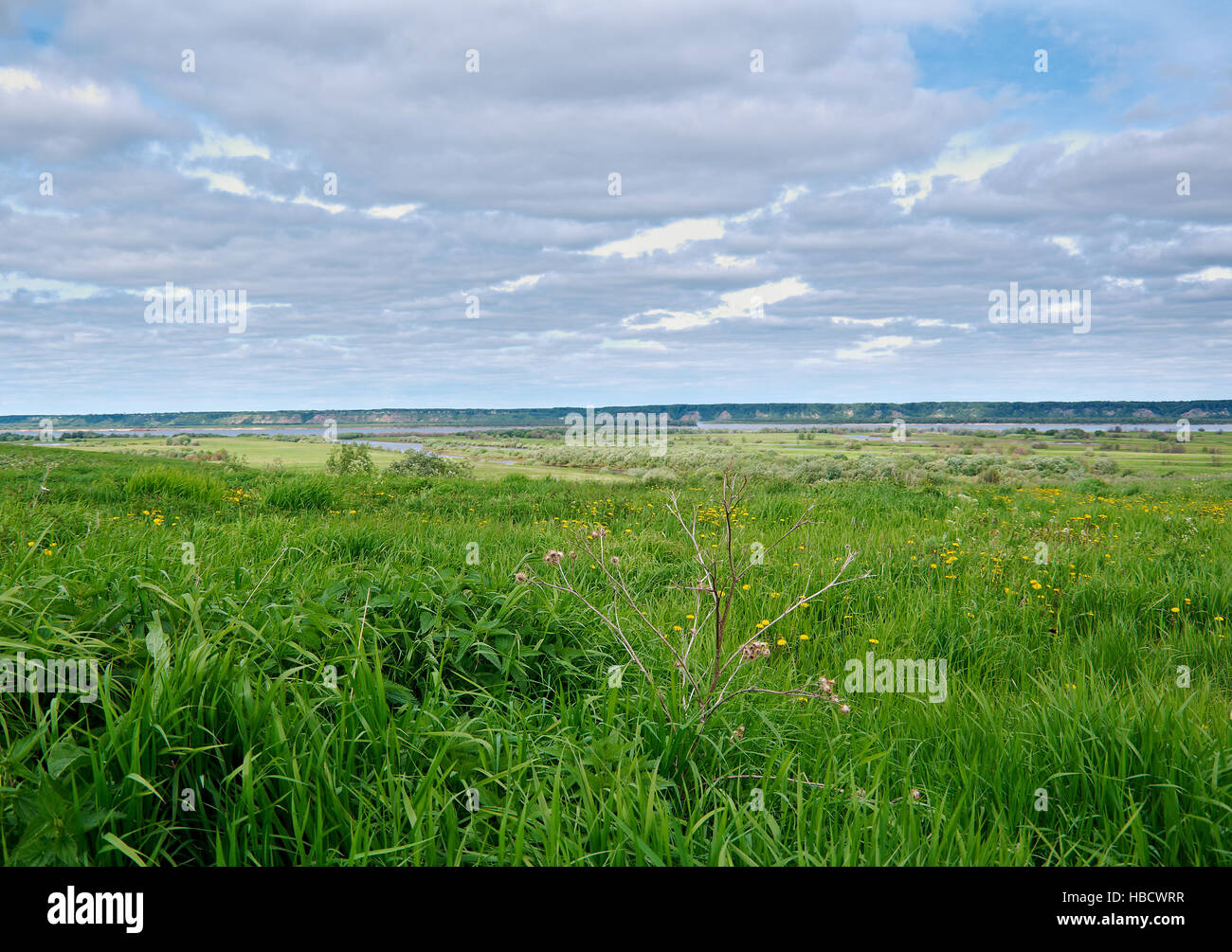 Vue de la rivière Dvina Septentrionale Banque D'Images
