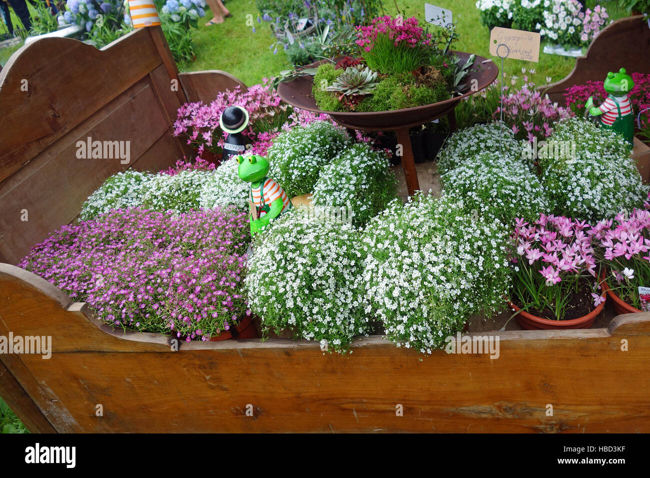 Un lit plein de fleurs Banque D'Images