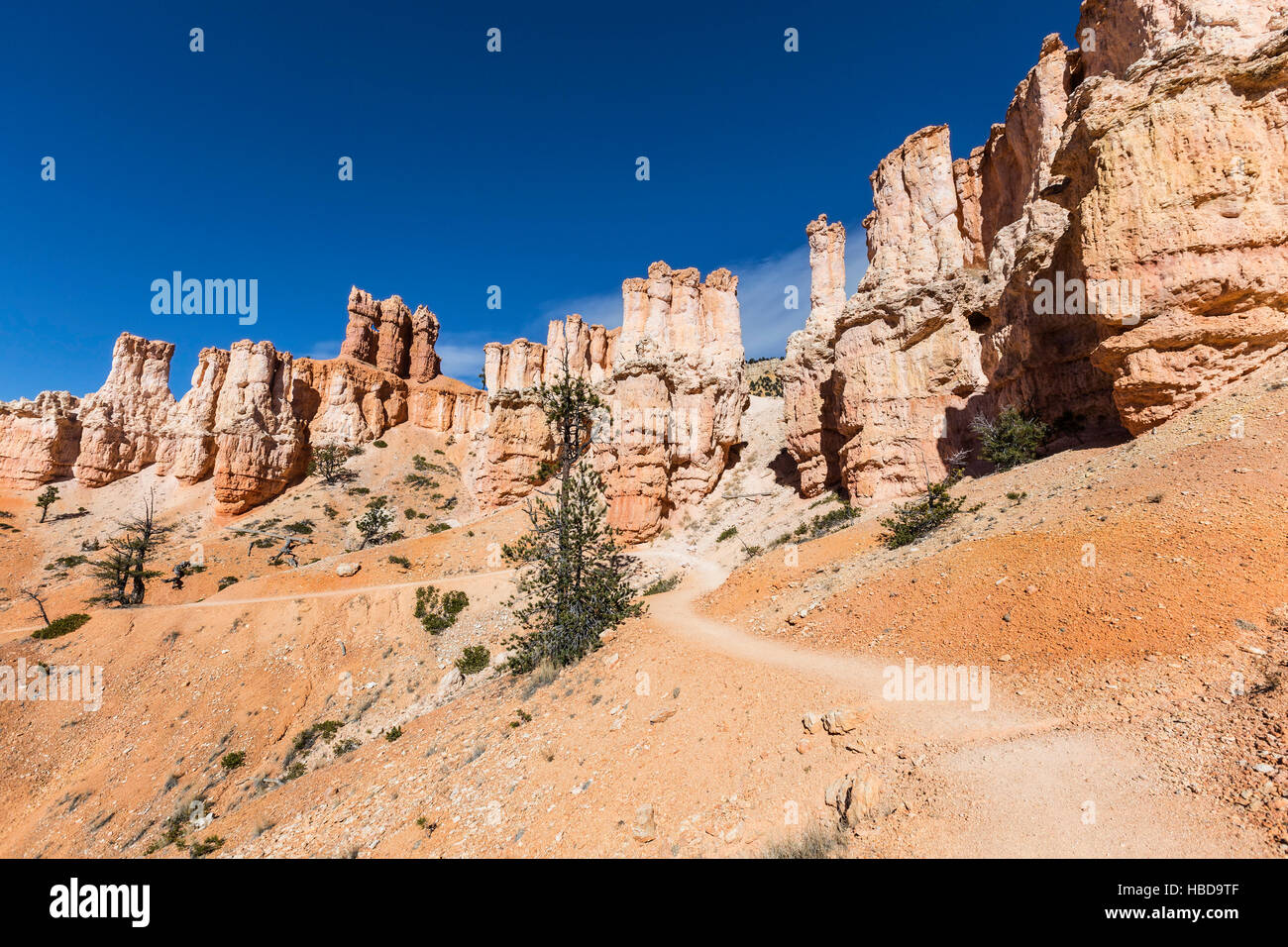 Hoodoo Trail à Bryce Canyon National Park dans le sud de l'Utah. Banque D'Images