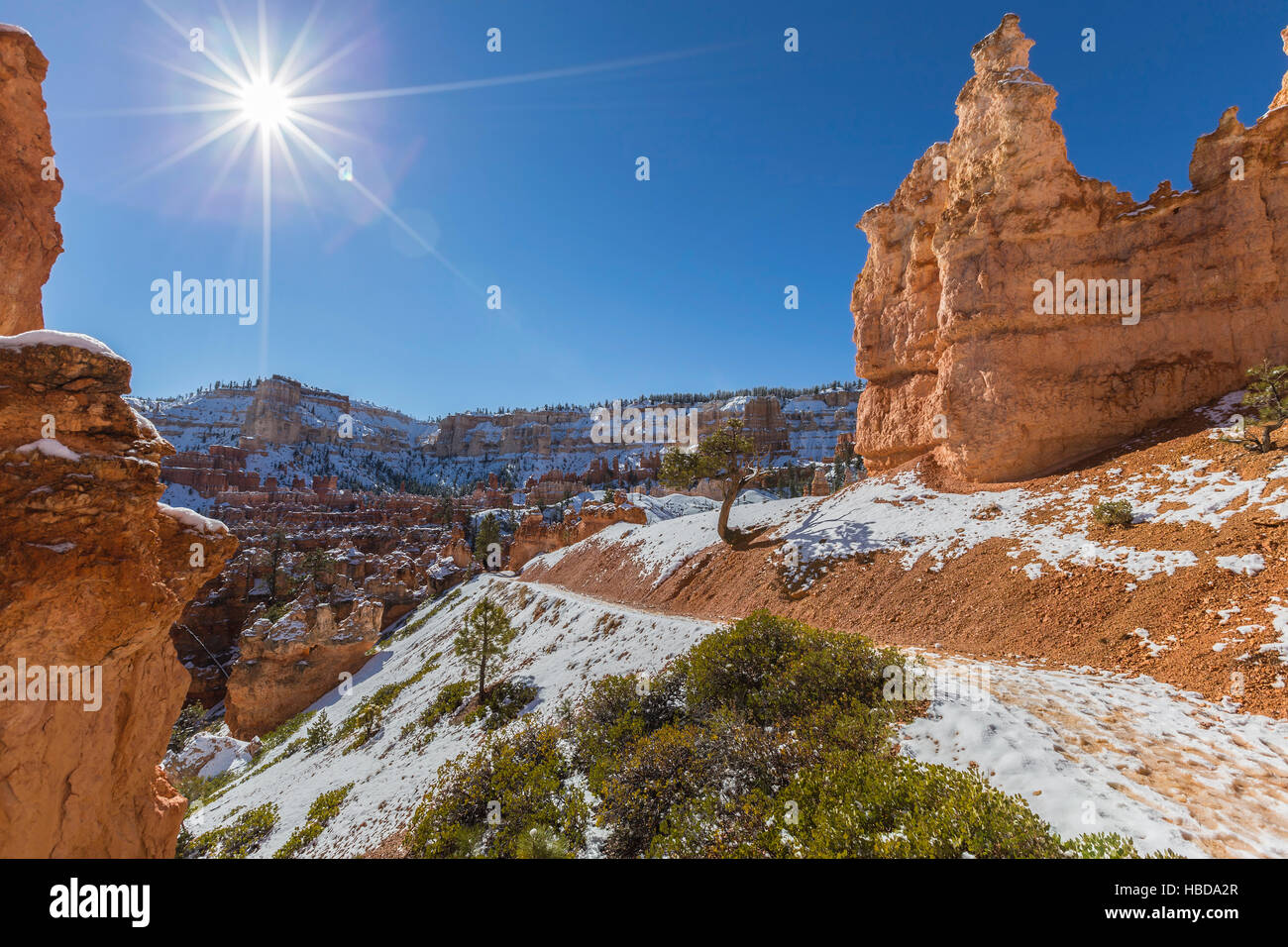 Chemin couvert de neige au Parc National de Bryce Canyon dans l'Utah du sud. Banque D'Images