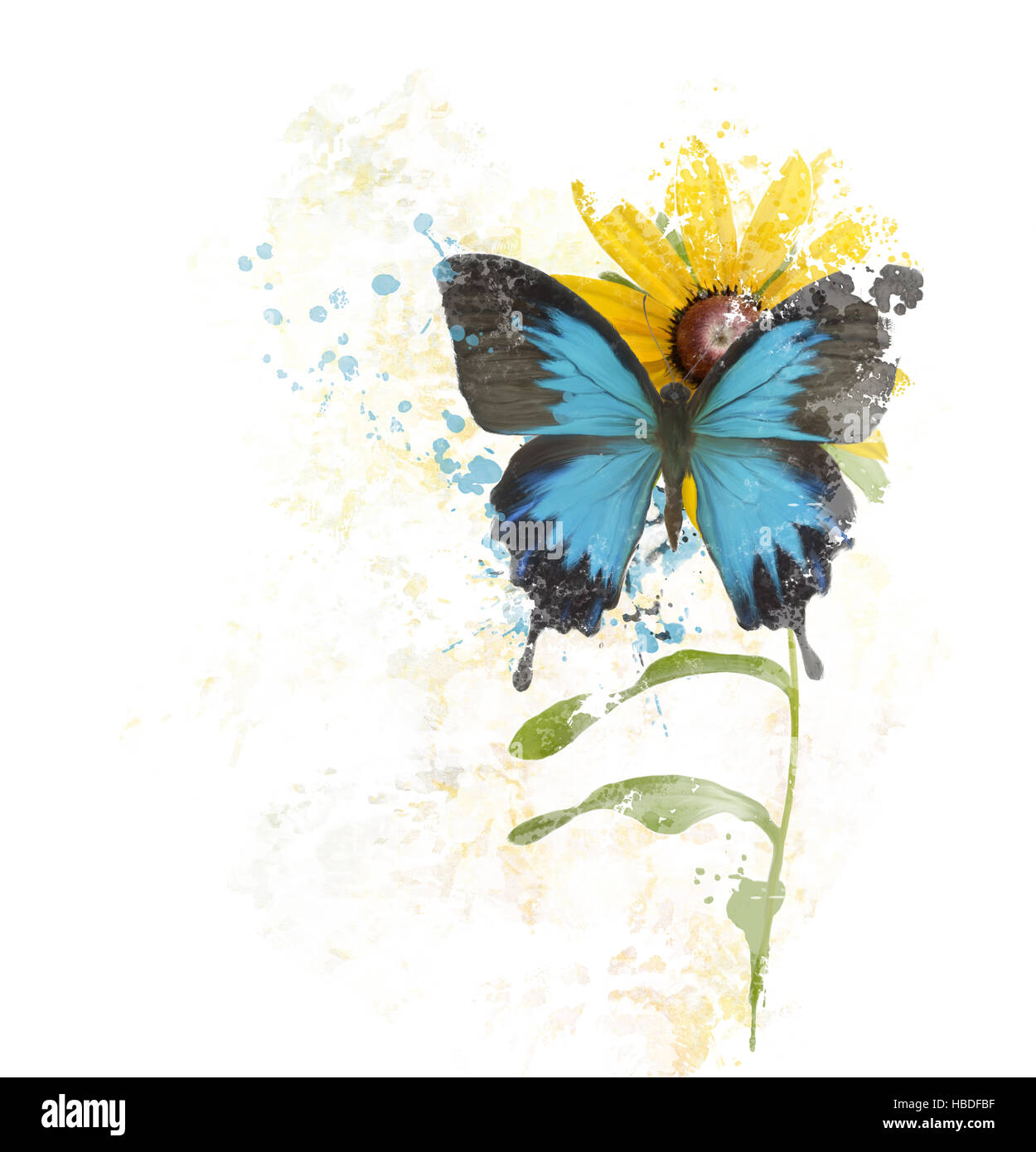 Un papillon sur une fleur Banque d'images détourées - Alamy
