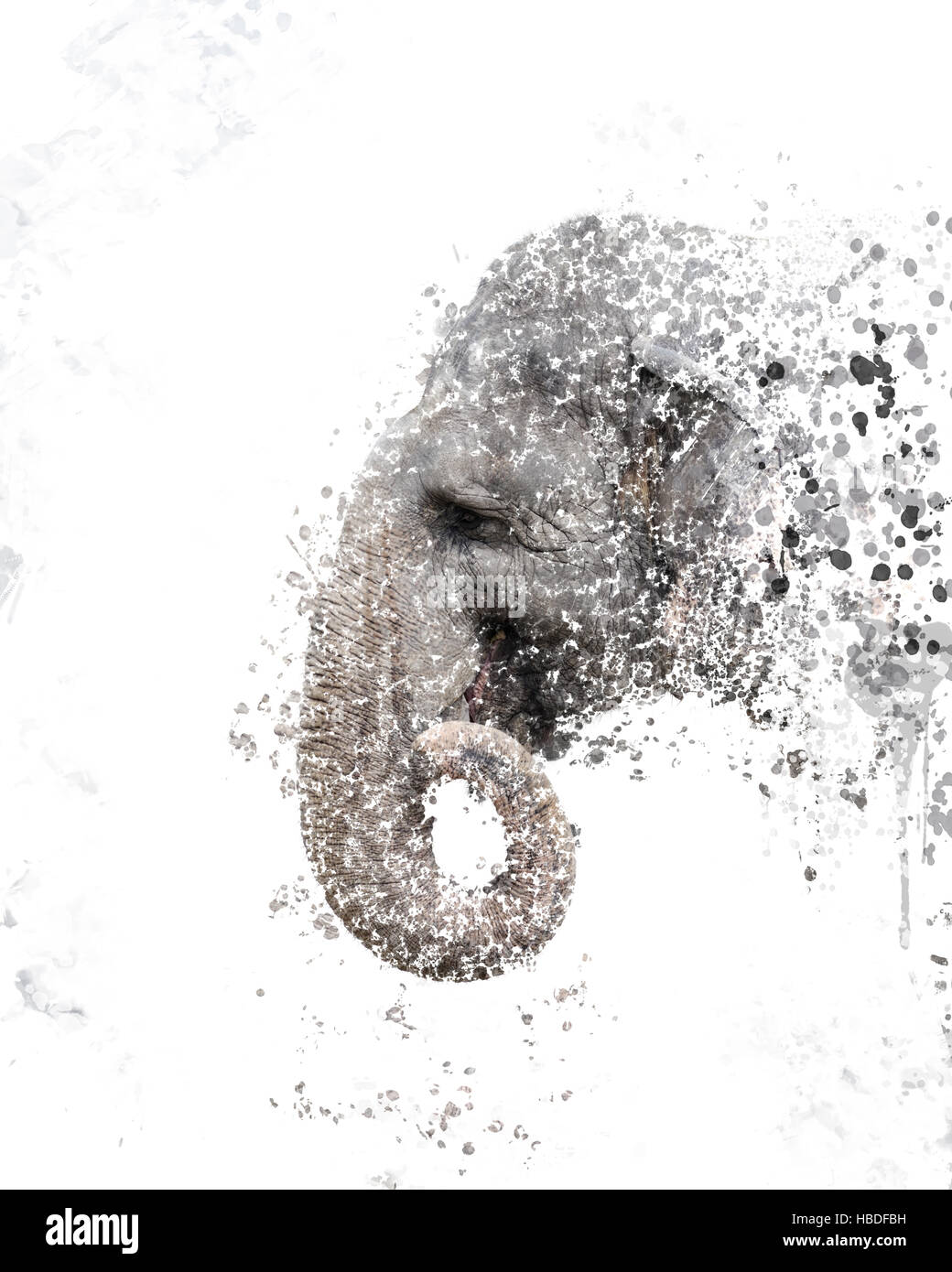 Aquarelle portrait d'éléphant Banque D'Images