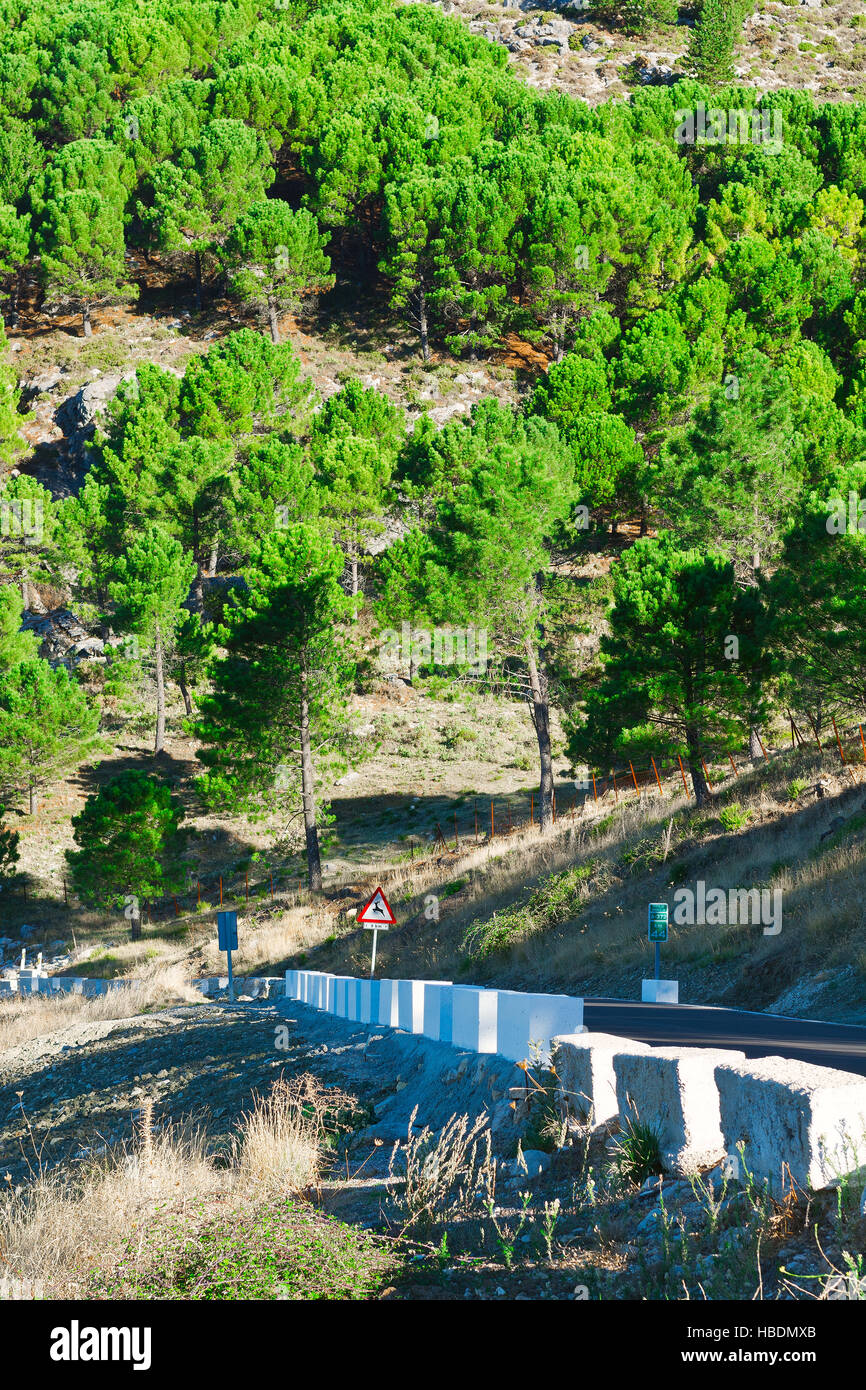 Route asphaltée sinueuse Banque D'Images