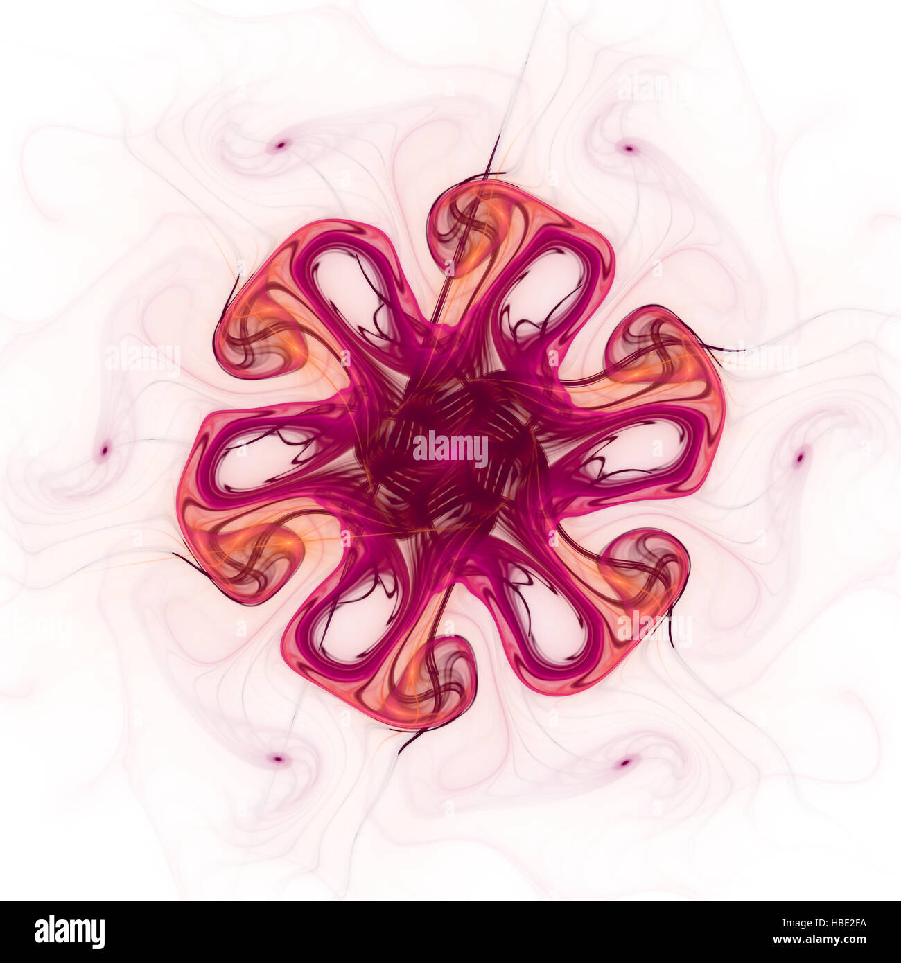 Motif floral Banque D'Images