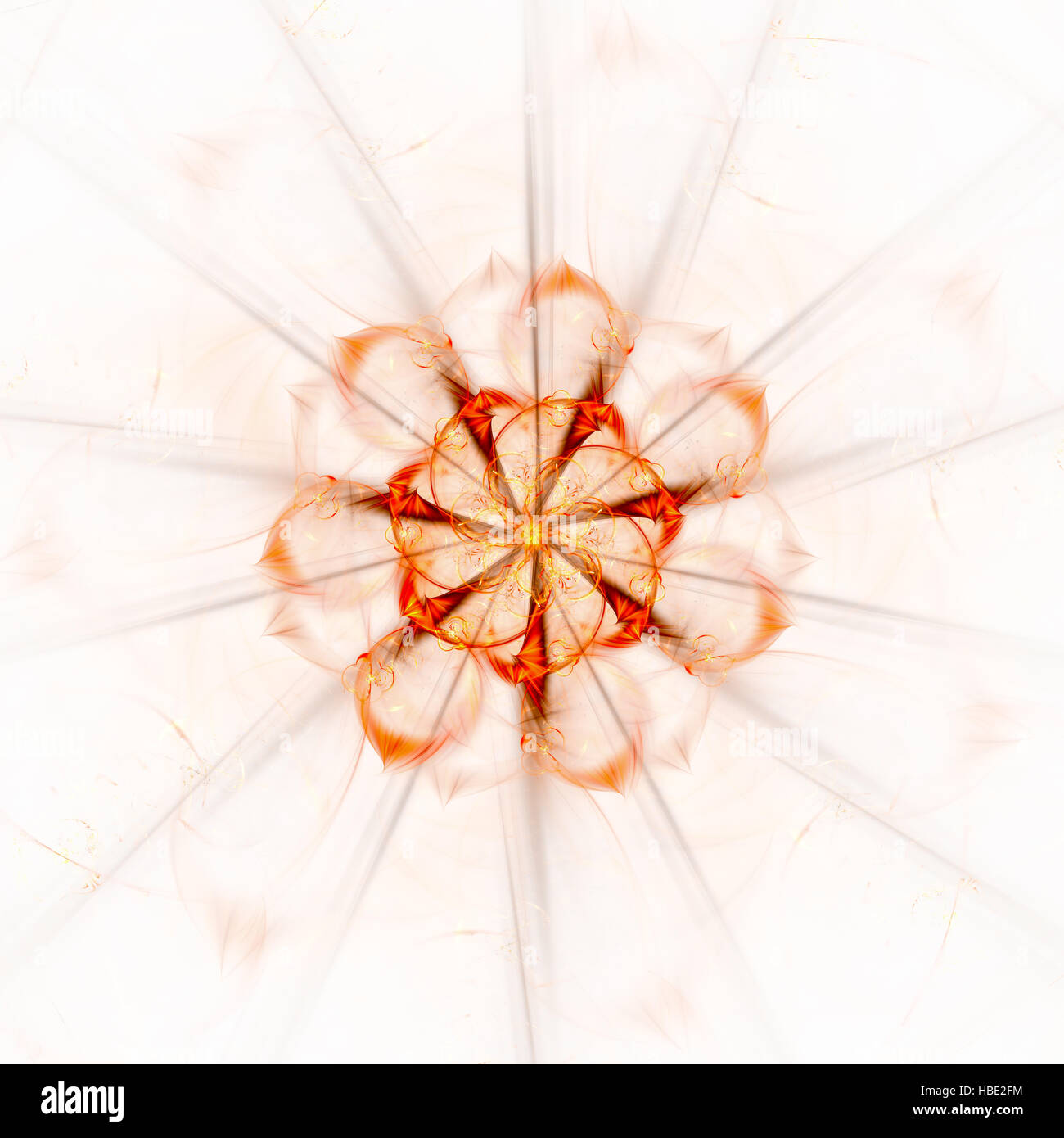 Motif floral Banque D'Images