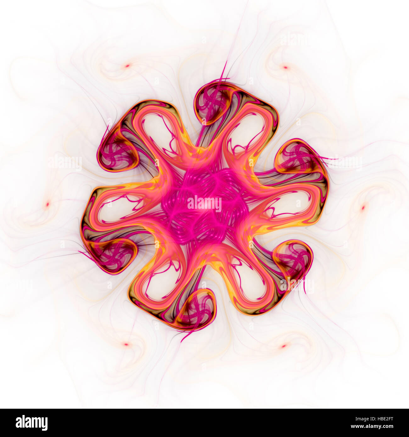 Motif floral Banque D'Images