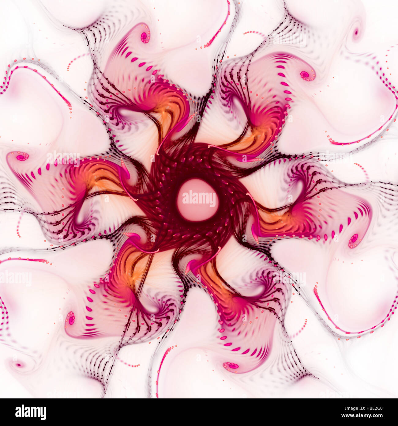 Motif floral Banque D'Images