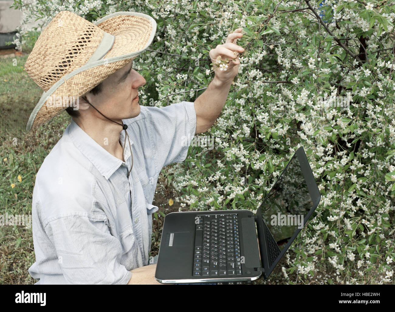 Le jeune jardinier dans un jardin de cerisier Banque D'Images