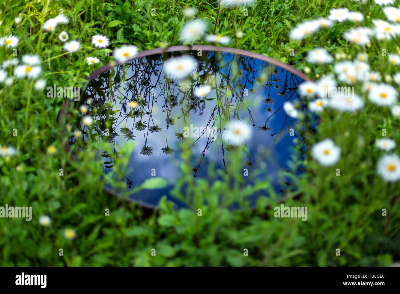 Reflet de la cuvette d'eau dans le jardin de Vision mondiale au RHS Hampton Court Palace Flower Show 2016 Banque D'Images