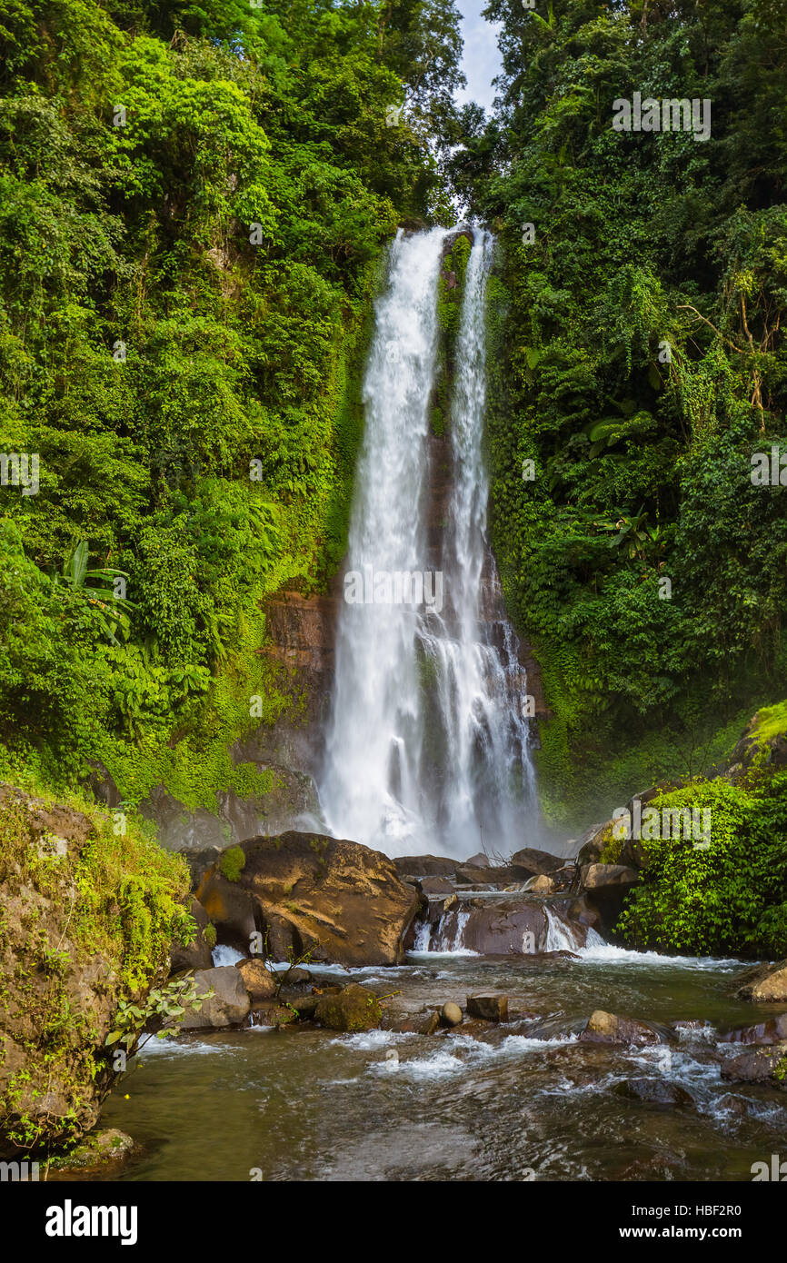 Cascade de Gitgit - île de Bali en Indonésie Banque D'Images