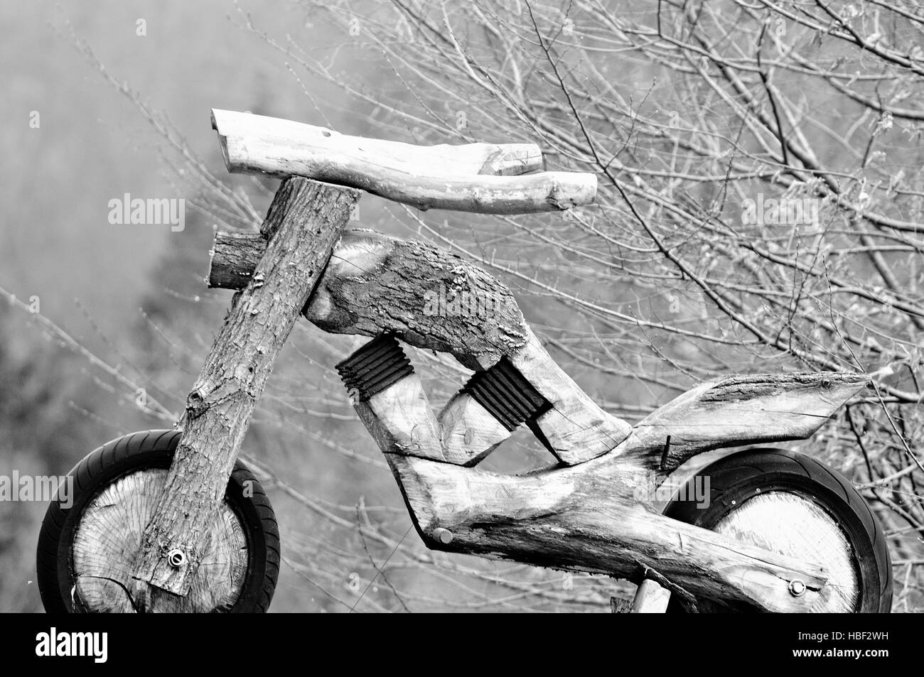 Le rêve fait de bois en noir et blanc Banque D'Images