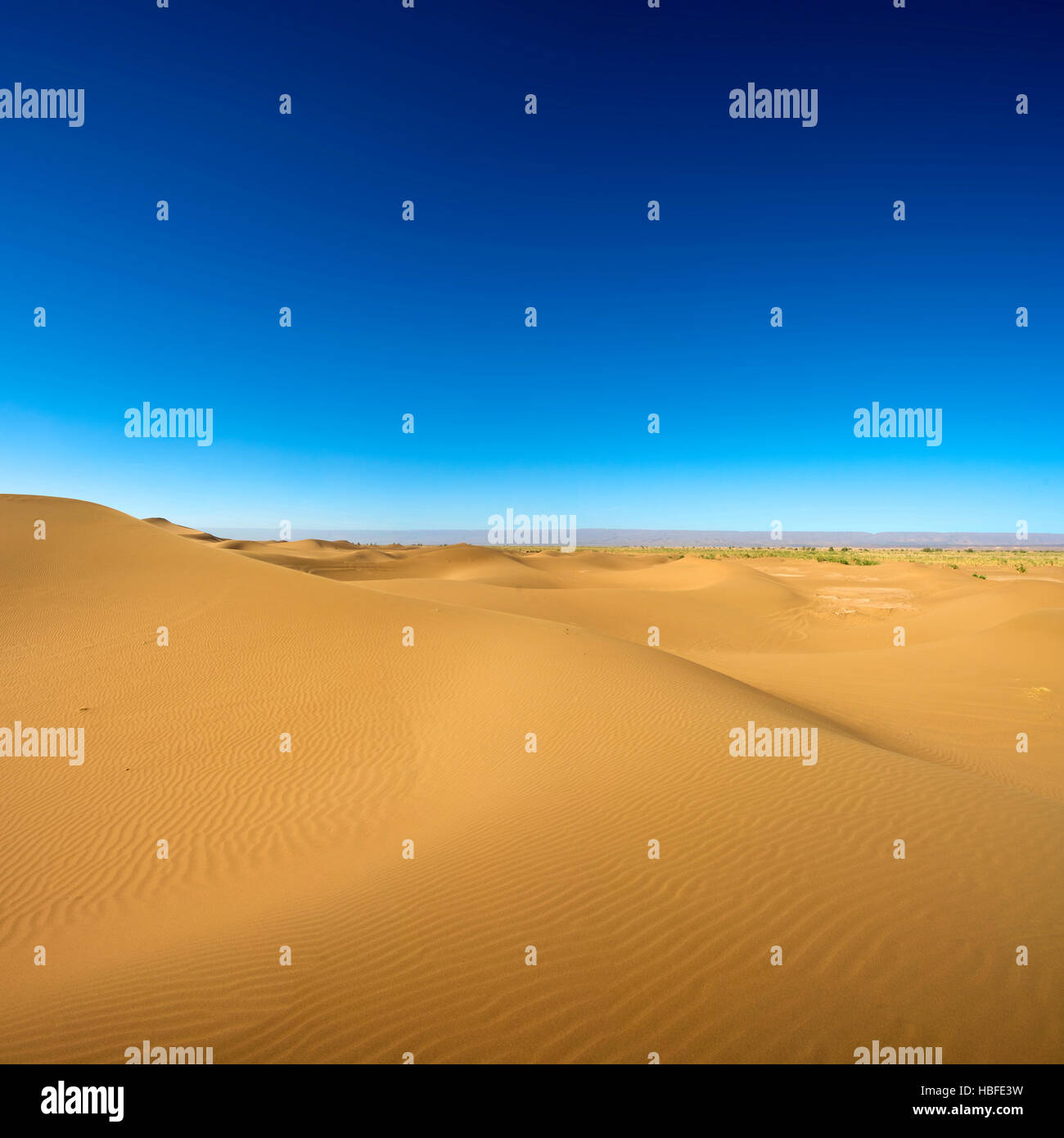 Paysage de dunes majestueuses au Maroc avec ciel bleu et nuages. Banque D'Images