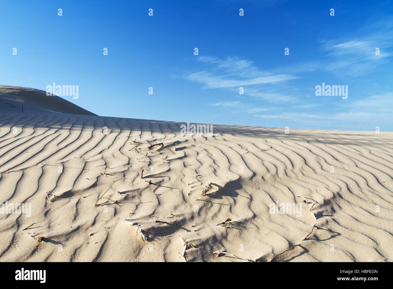 Le sable du désert au coucher du soleil . Banque D'Images