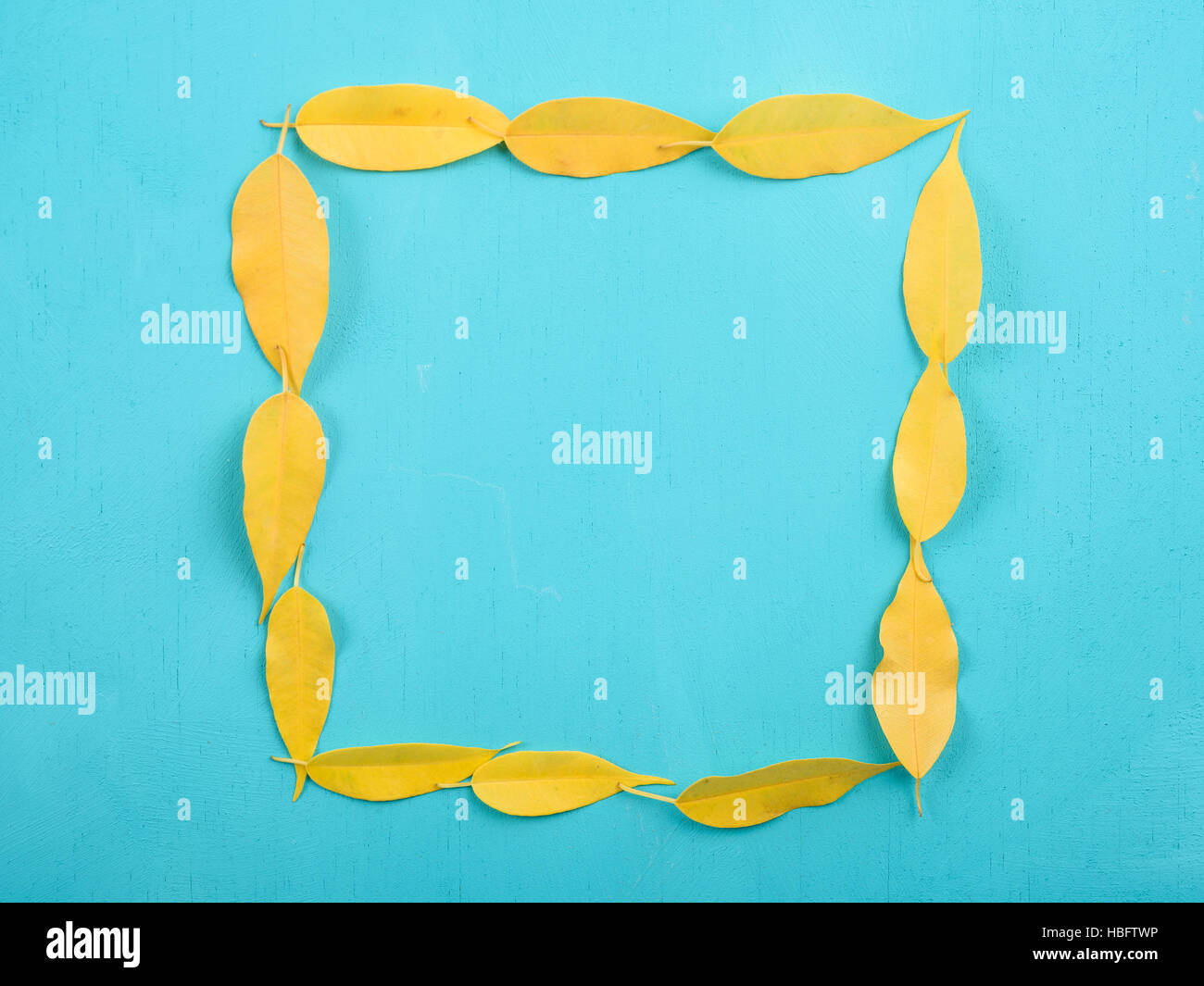 Feuilles d'automne jaune forme carré Turquoise sur table en bois Banque D'Images