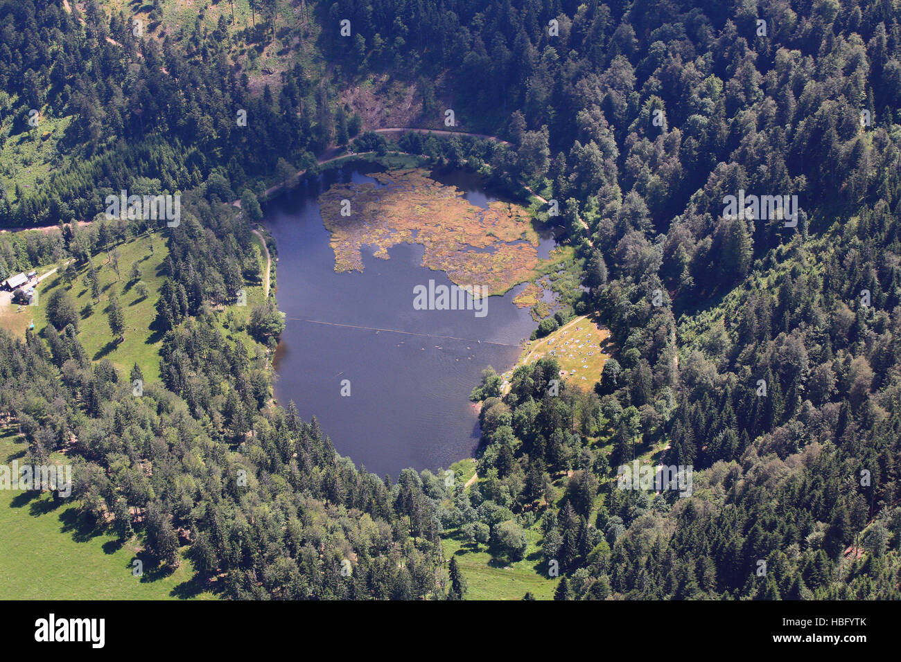 Nonnenmattweiher dans la Forêt Noire Banque D'Images