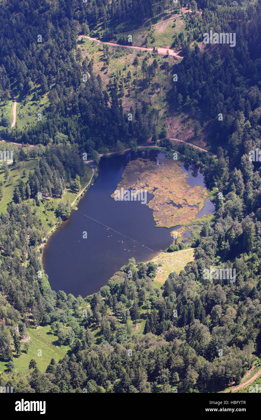 Nonnenmattweiher dans la Forêt Noire Banque D'Images