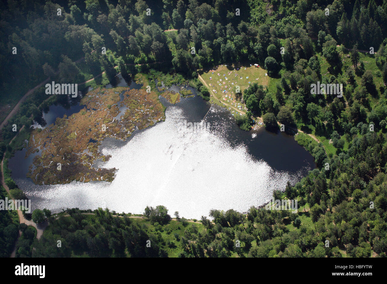 Nonnenmattweiher dans la Forêt Noire Banque D'Images
