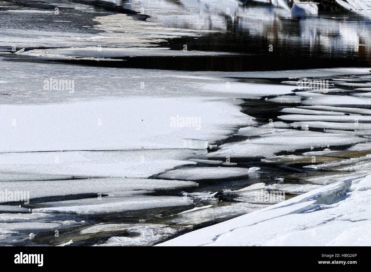 Plaques de glace flottantes flottant dans l'eau Banque D'Images