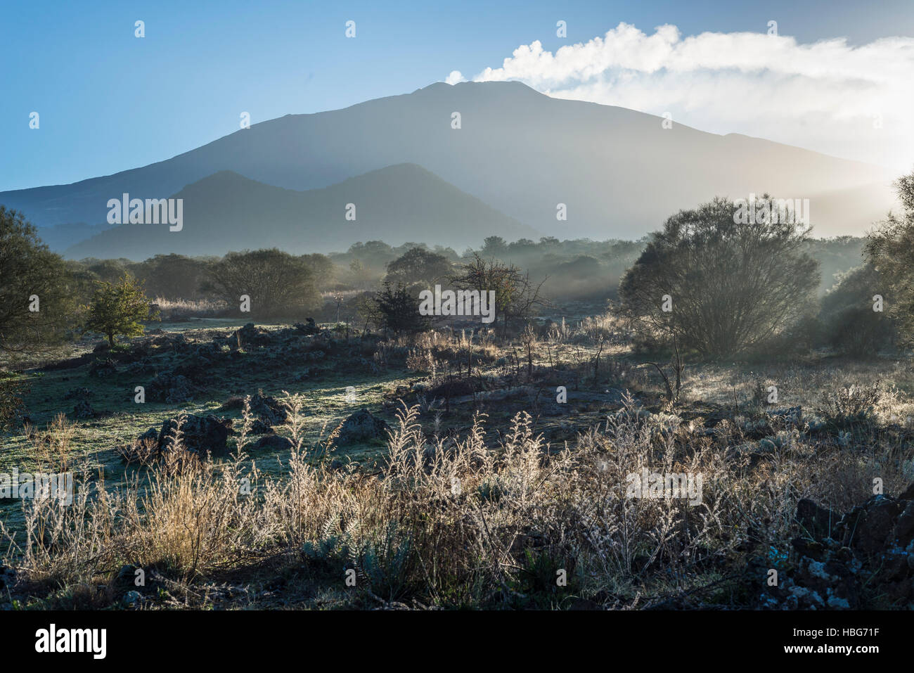 Piano dei Grilli, brumes matinales, Mont Ruvolo, flanc ouest de l'Etna, volcans, Bronte, Sicile, Italie Banque D'Images