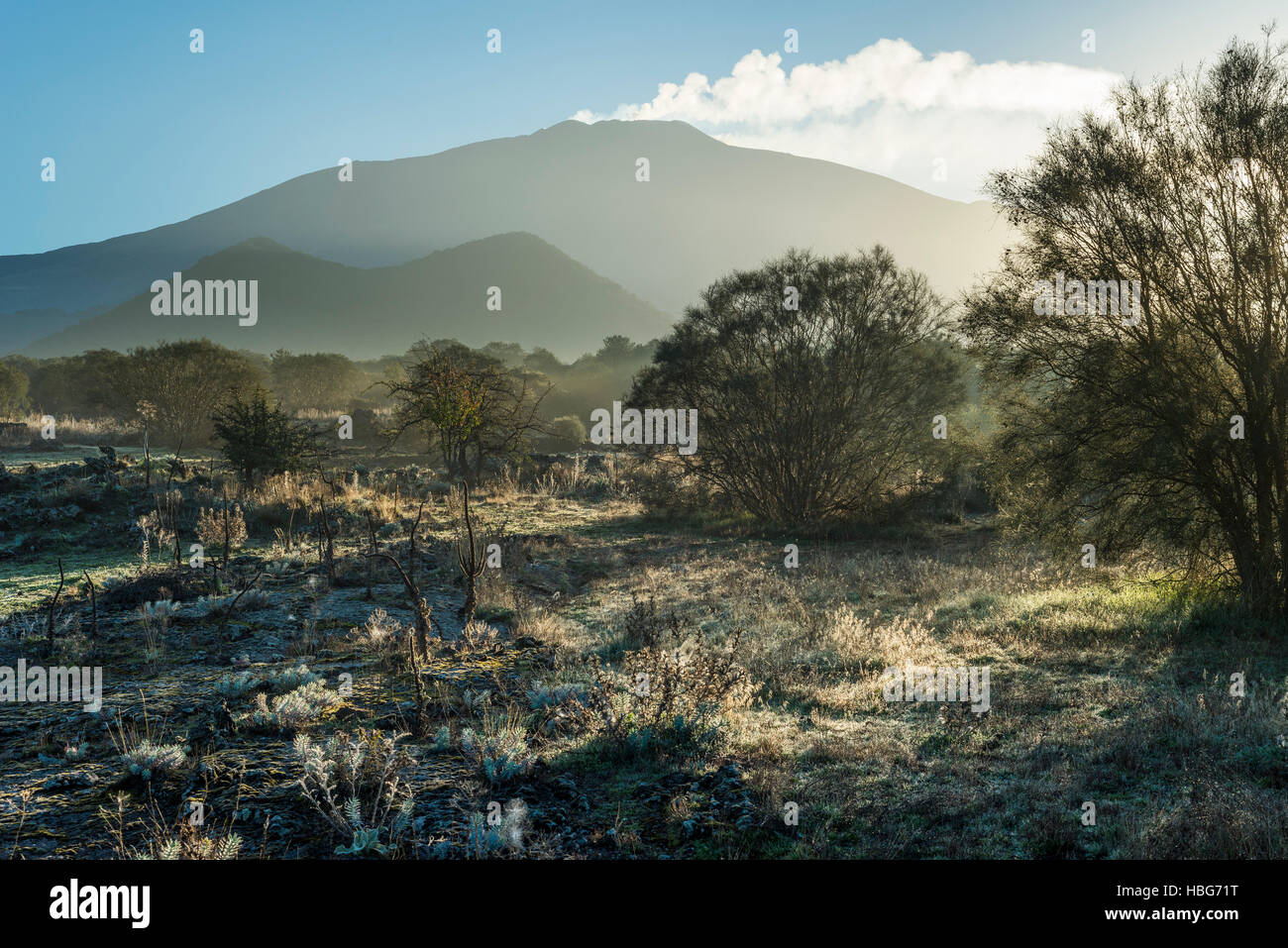 Piano dei Grilli, brumes matinales, Mont Ruvolo, flanc ouest de l'Etna, volcans, Bronte, Sicile, Italie Banque D'Images