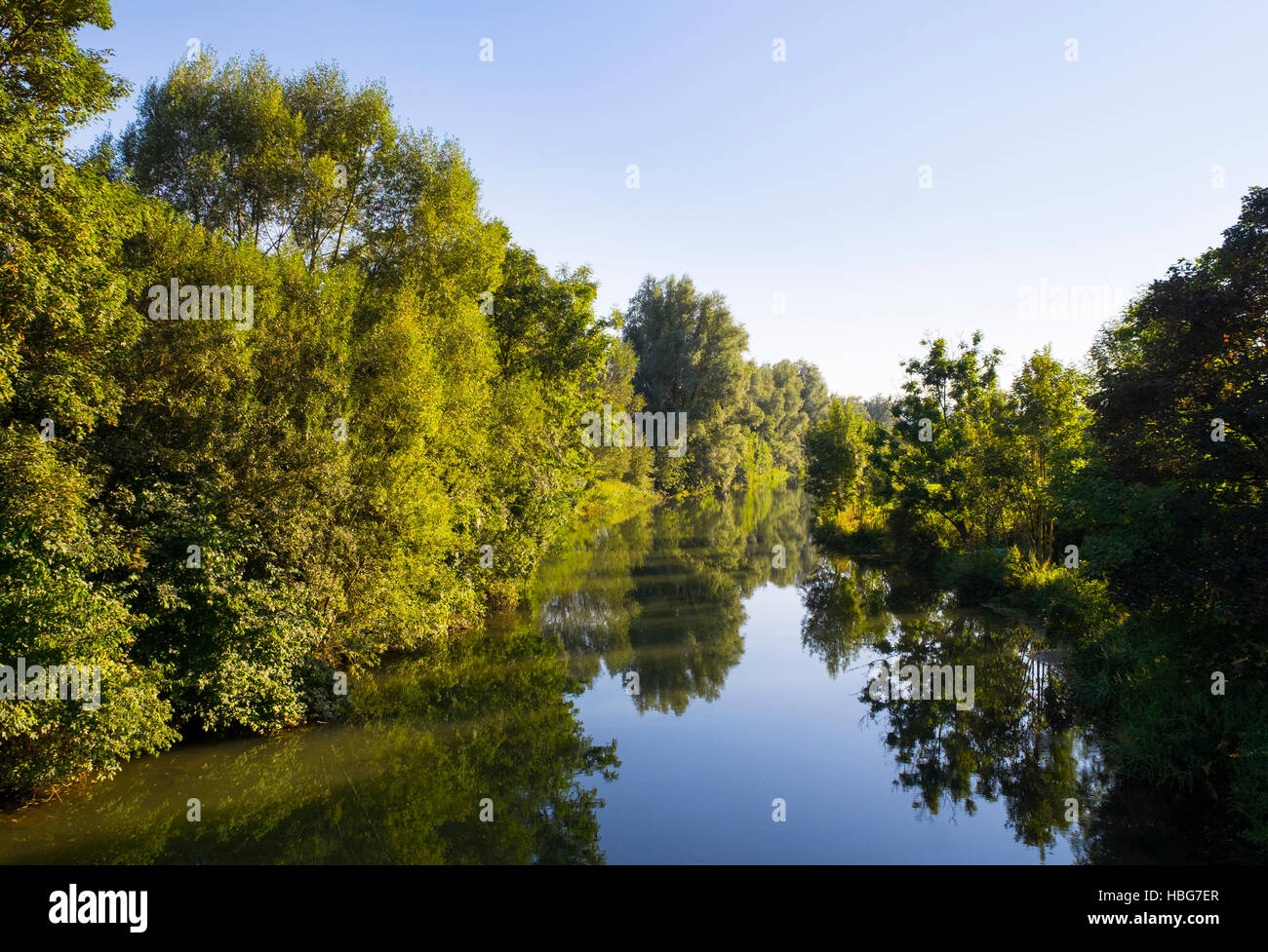 La rivière Altmühl avec réflexion, forêt, Altmühltal Haute-bavière, Bavière, Allemagne Banque D'Images