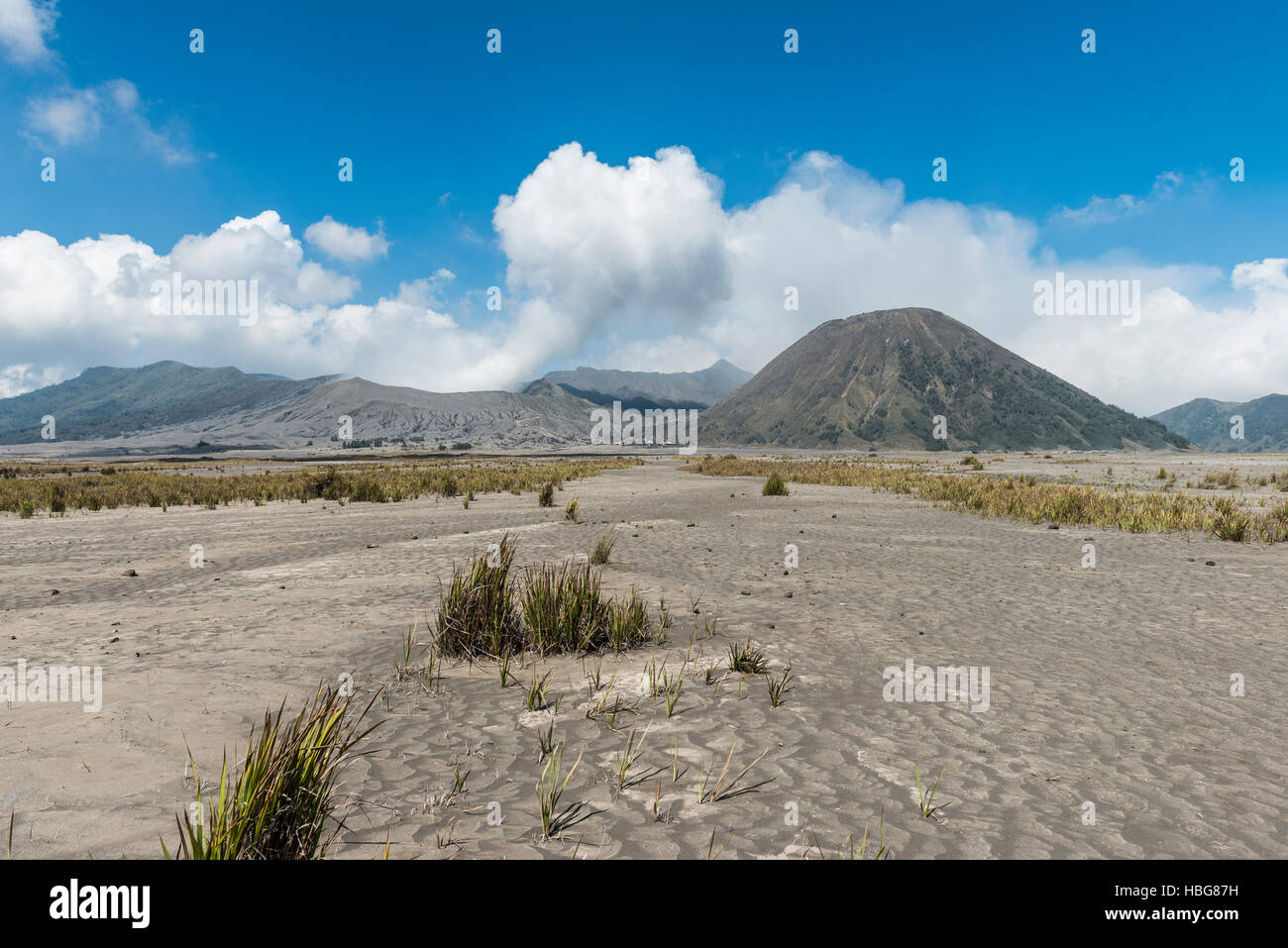 Volcans Mont Bromo et le Mont Batok, Parc National de Bromo Tengger Semeru, l'Est de Java, Indonésie Banque D'Images