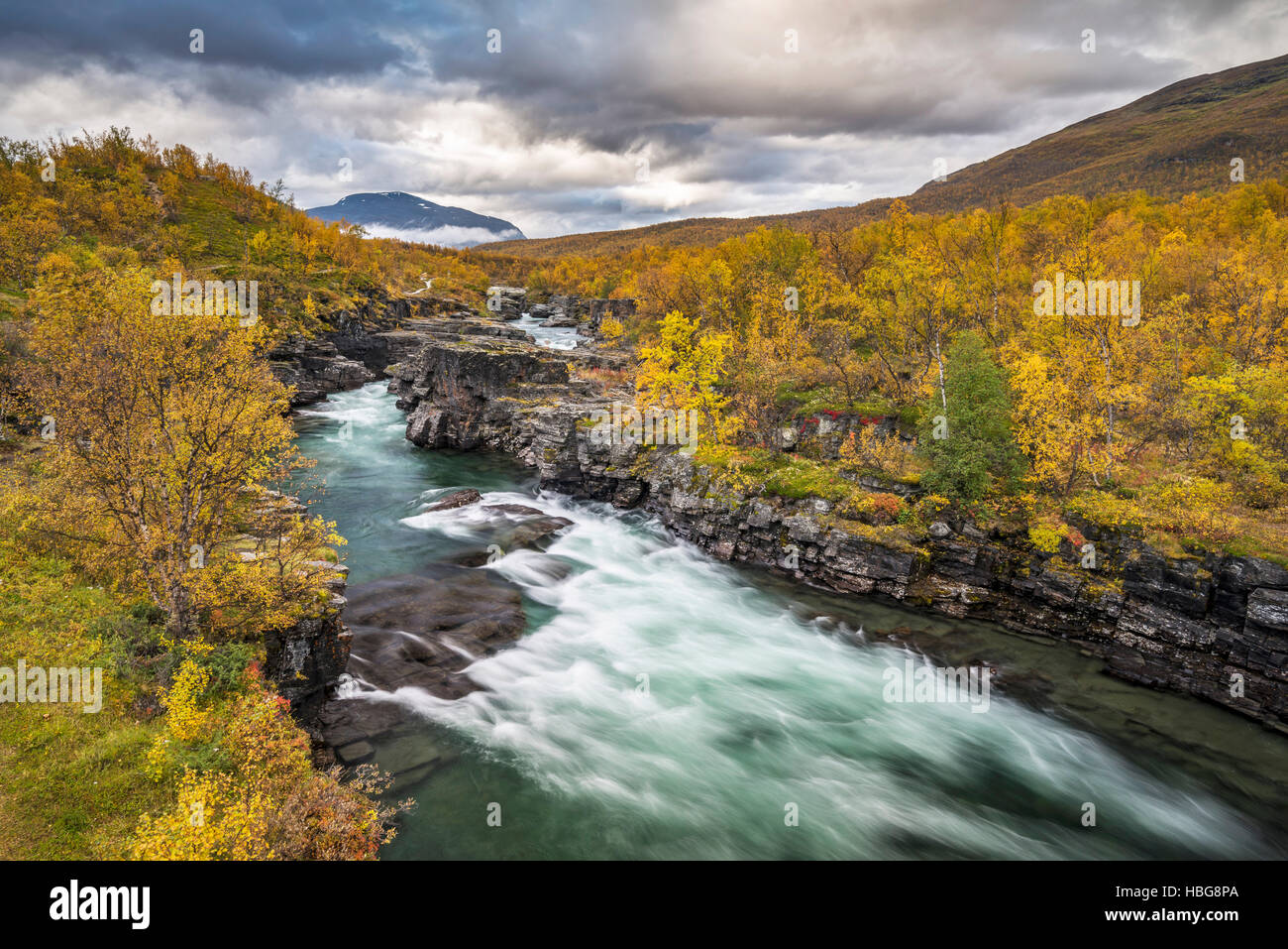 Abisko Canyon en automne, rivière Abiskojåkka, Abiskojokk, Abisko National Park, Norrbotten, Lapland, Sweden Banque D'Images