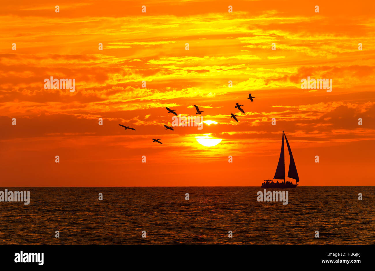 Voilier Ocean sunset est un oiseaux voilier naviguant le long de l'eau de mer au coucher du soleil avec un grand troupeau de silhouette suivi de près par les oiseaux. Banque D'Images