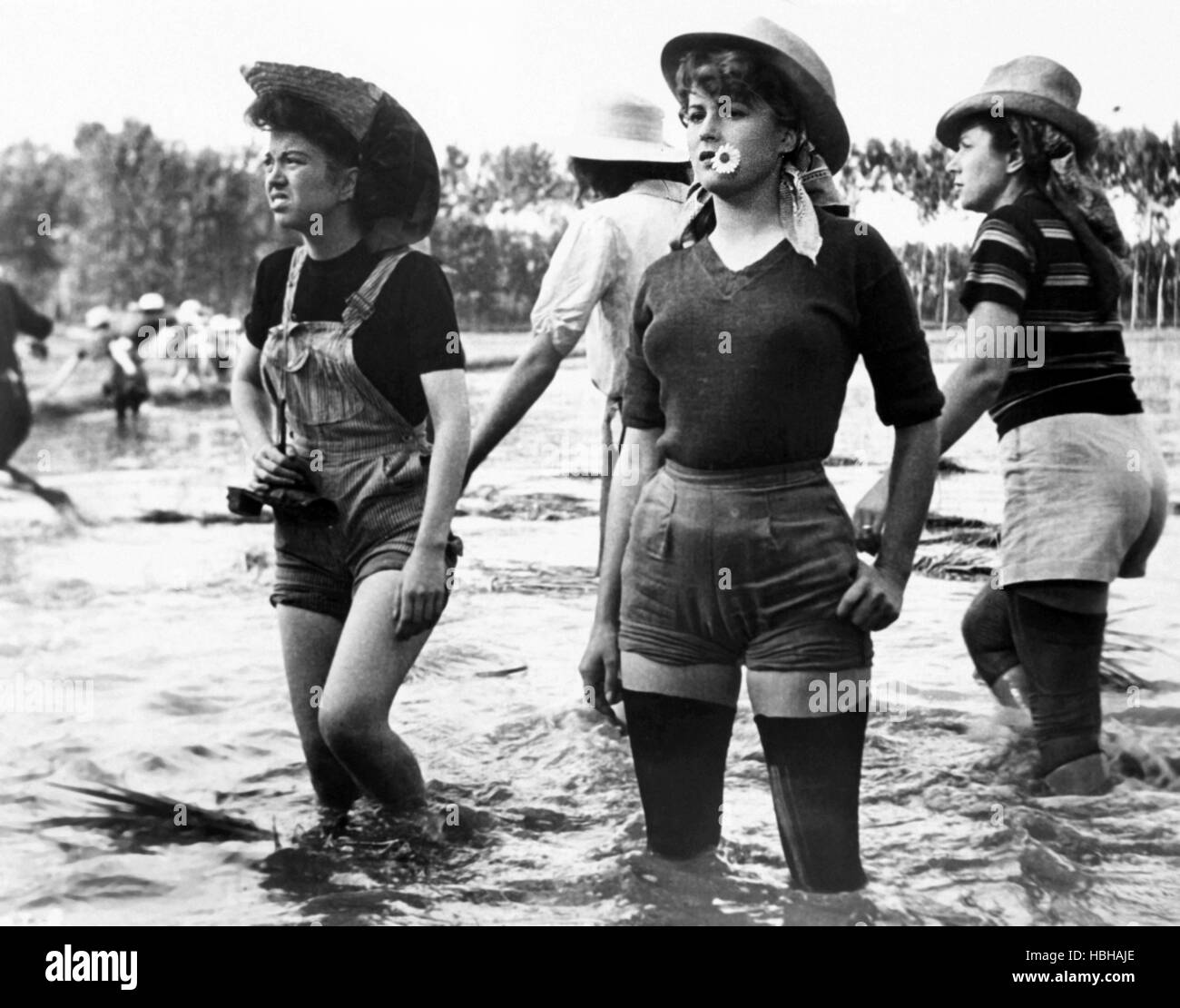 Riso amaro silvana mangano 1949 Banque de photographies et d’images
