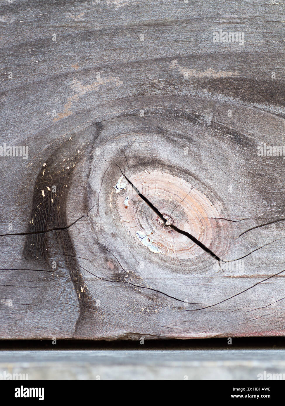 Knot wood a quelques fissures Banque D'Images