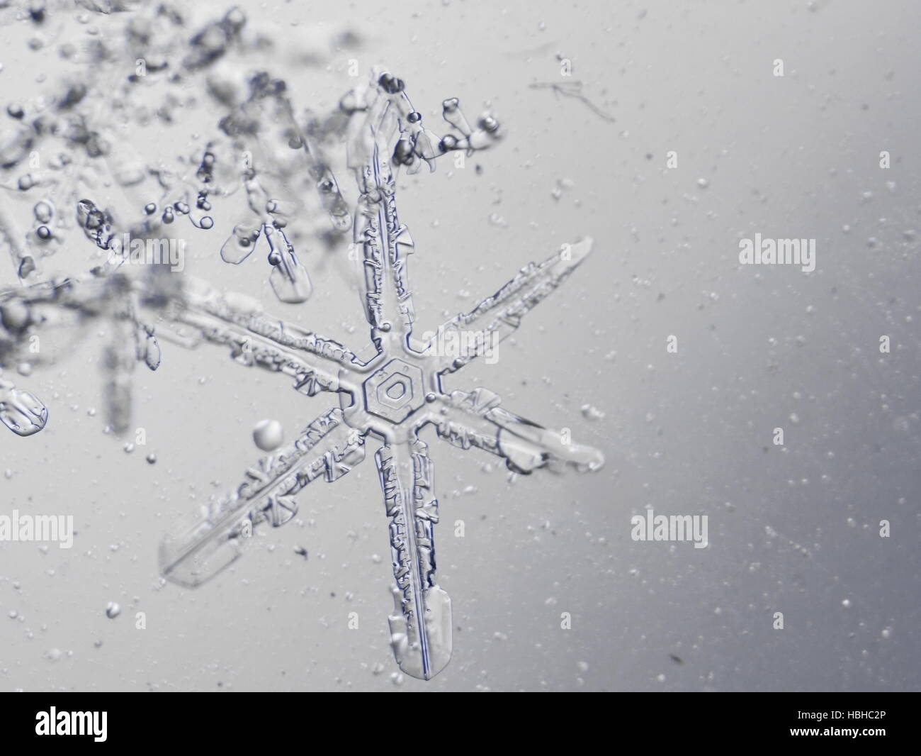 flocon de neige réelle Banque D'Images